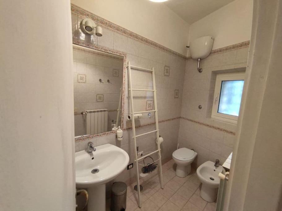 Vicolo Del Bologna Apartment روما المظهر الخارجي الصورة